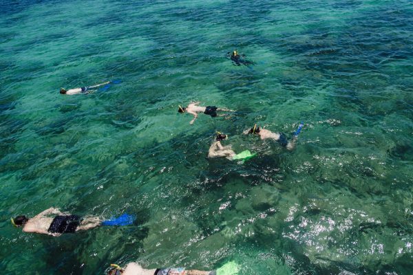Big Cat Green Island Reef Cruises Snorkelling